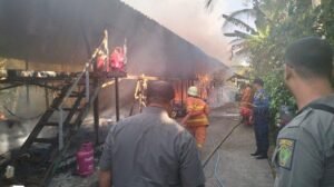 Tribun Bali Fire Chicken Coop