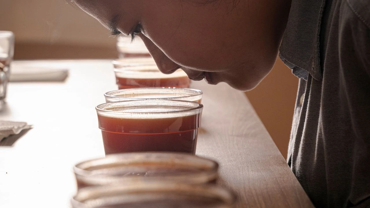 Quality assessment in progress as Bali Origins evaluates aroma, body, and balance across different coffee lots.